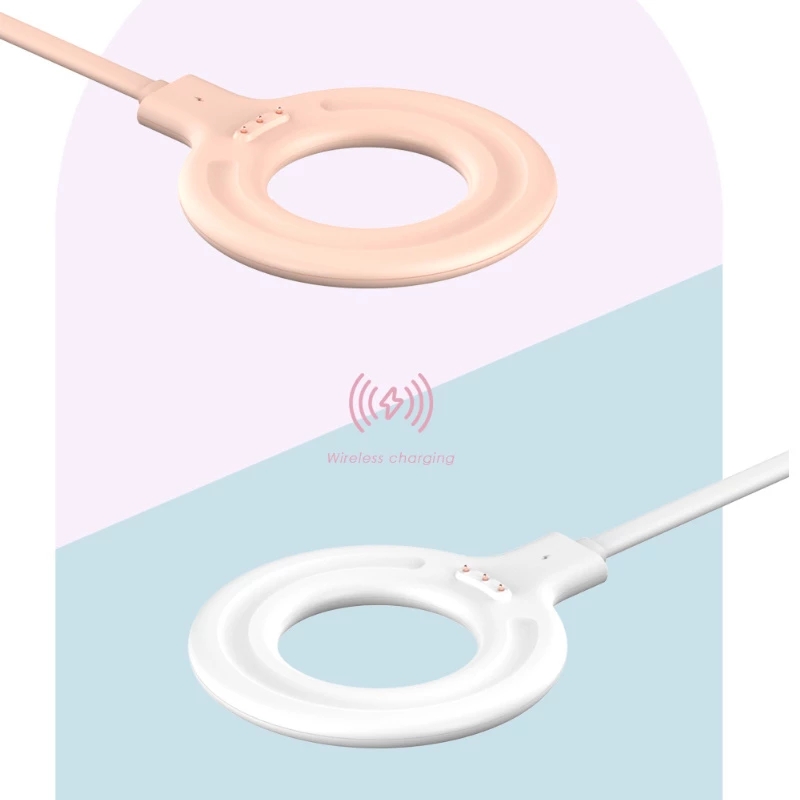 Pengisi daya usb untuk juicer  - Beauty Queen Makeup ulasan dan harga